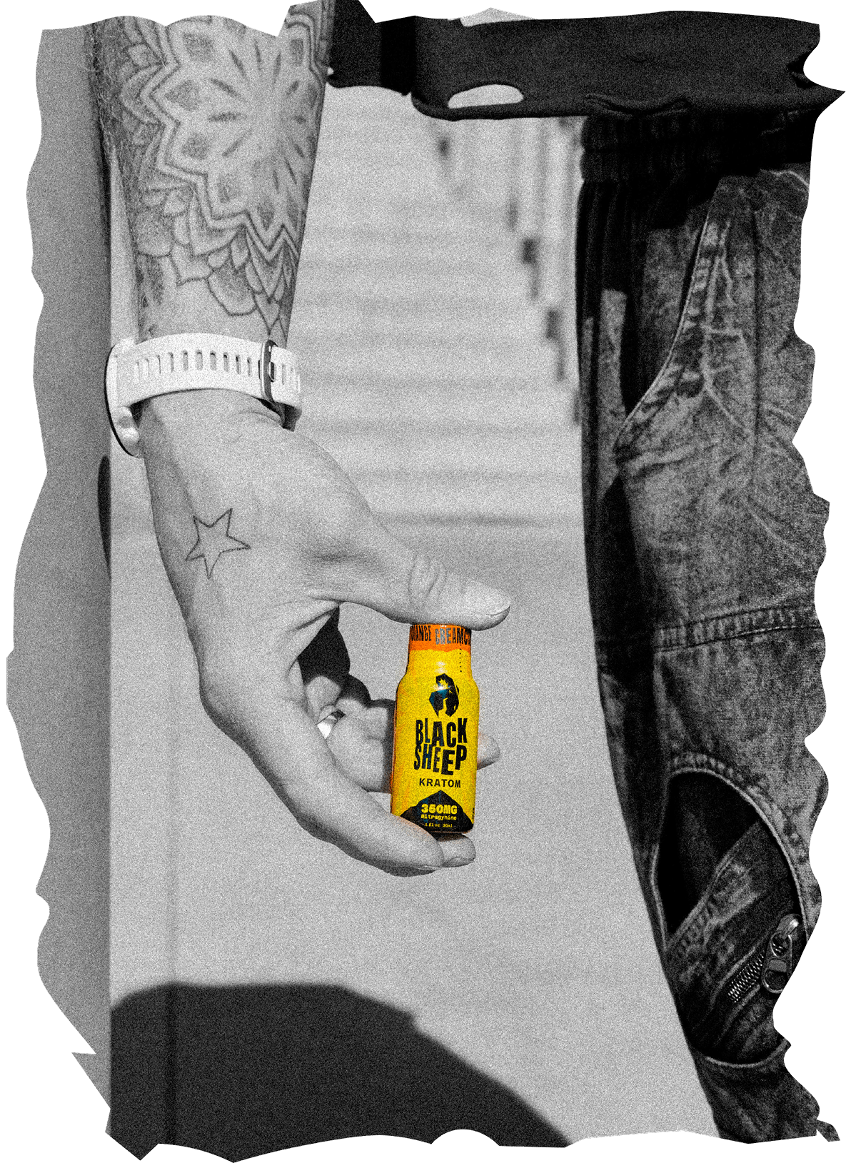 Black sheep lifestyle