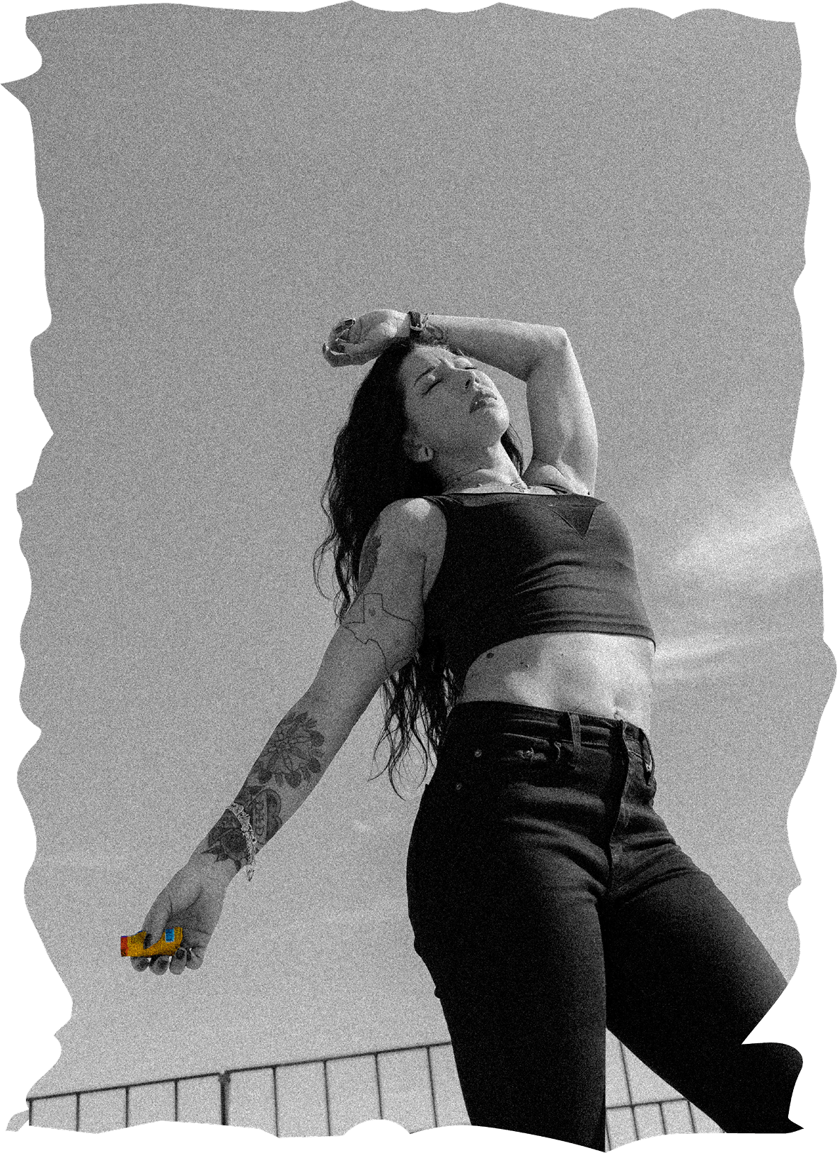 Black sheep lifestyle