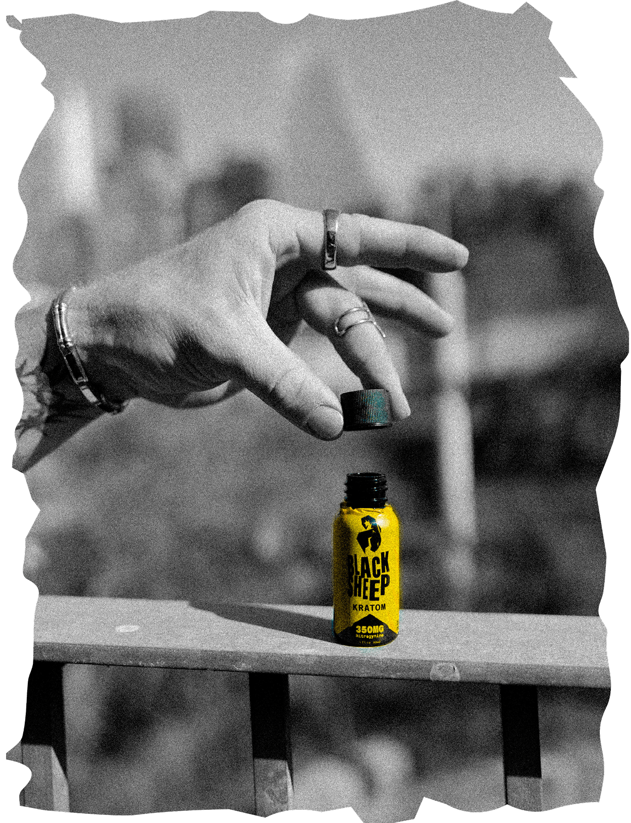 Black sheep lifestyle