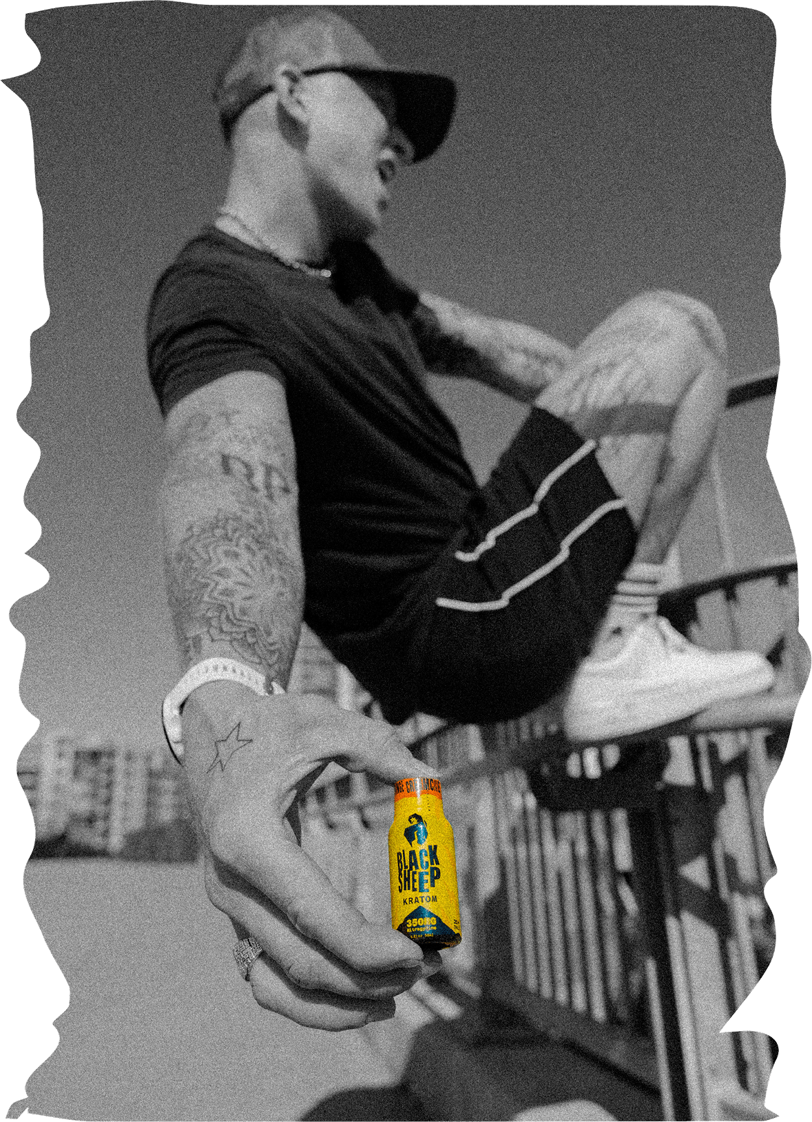 Black sheep lifestyle