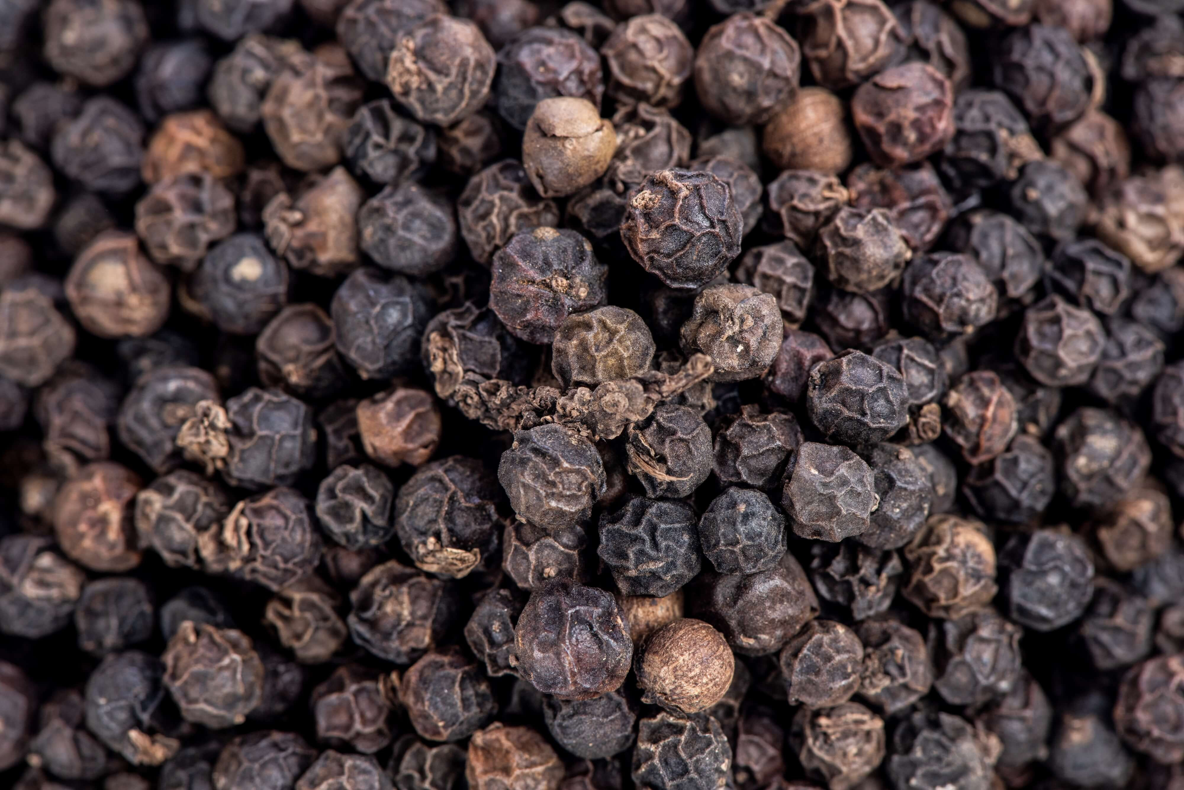 black peppercorns up close